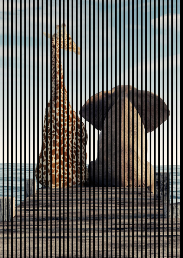 Neuhofer Akustikpaneele Elefant und Giraffe 240 x 169,3 x 1,9 cm