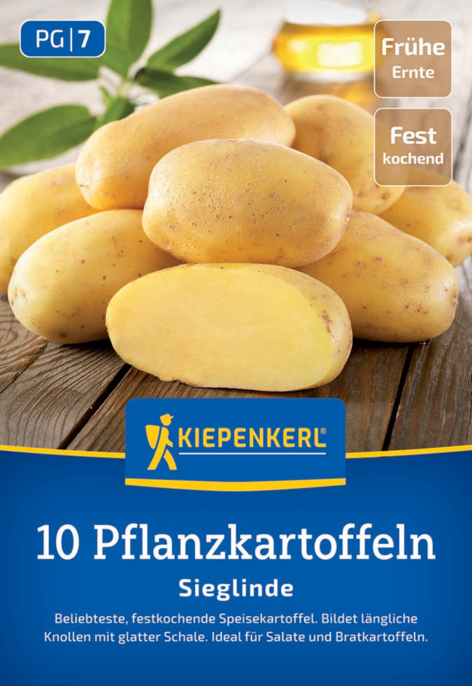 Kiepenkerl Pflanzkartoffel Sieglinde 10 Stück