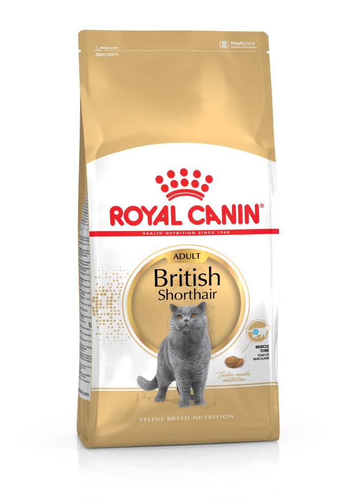 Royal Canin Trockenfutter British Shorthair 4 kg