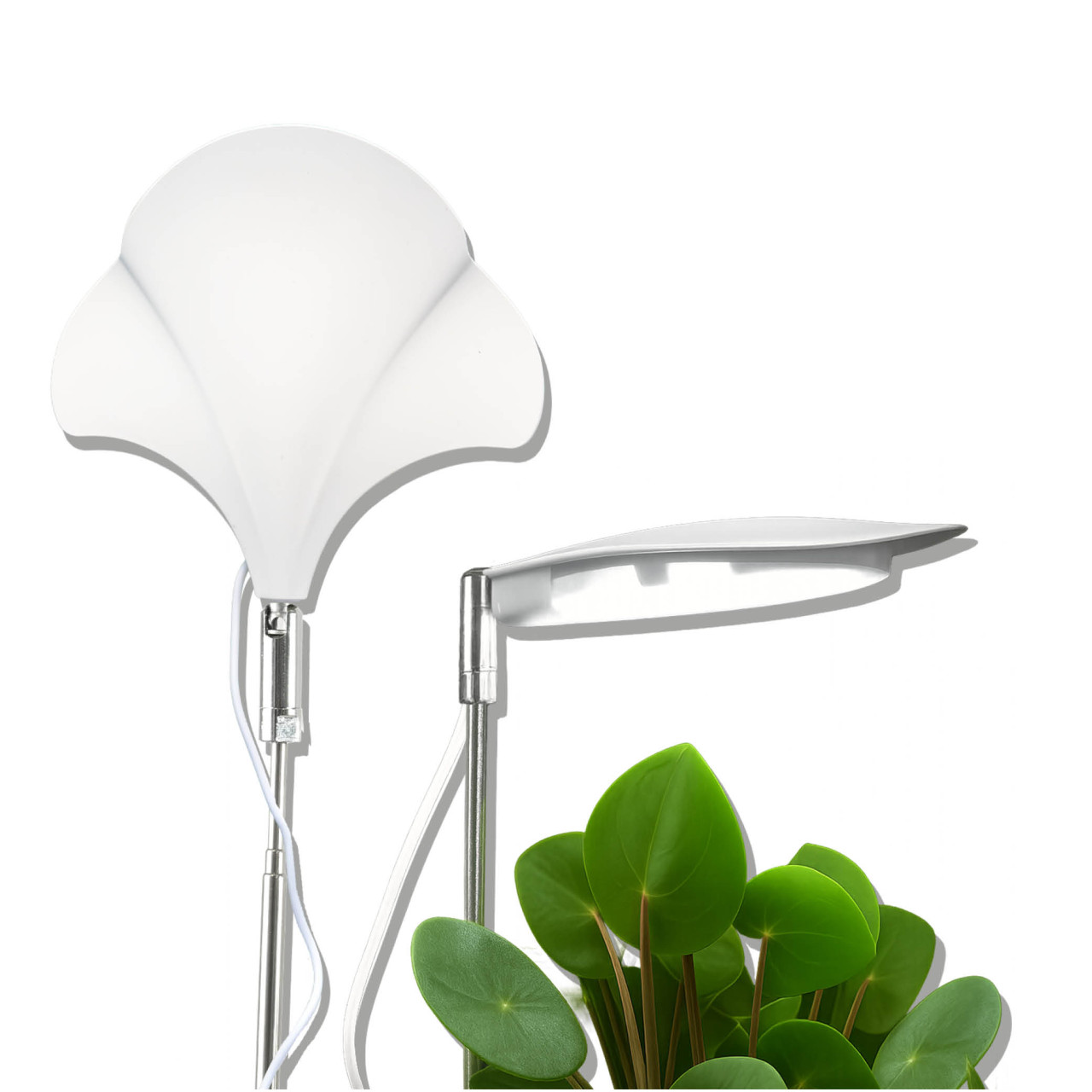 Biogreen LED Vollspektrum Pflanzenleuchte GINGKO dimmbar, mit Schaltzeituhr - Grow light