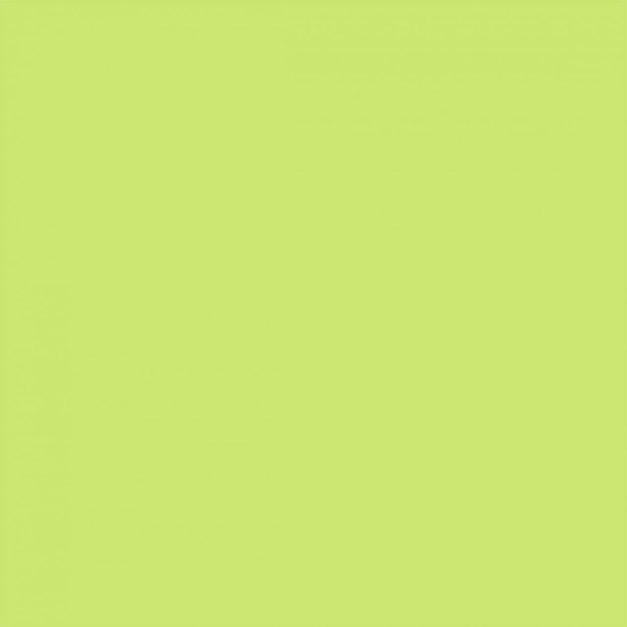 Braun & Company Soft Touch Servietten Lime 38 x 38 cm - 20er Pack