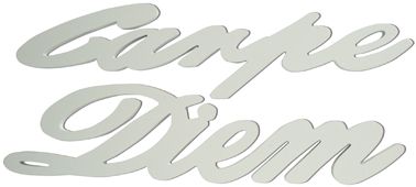 Schriftzug XL Carpe Diem weiß 76 x 29 cm