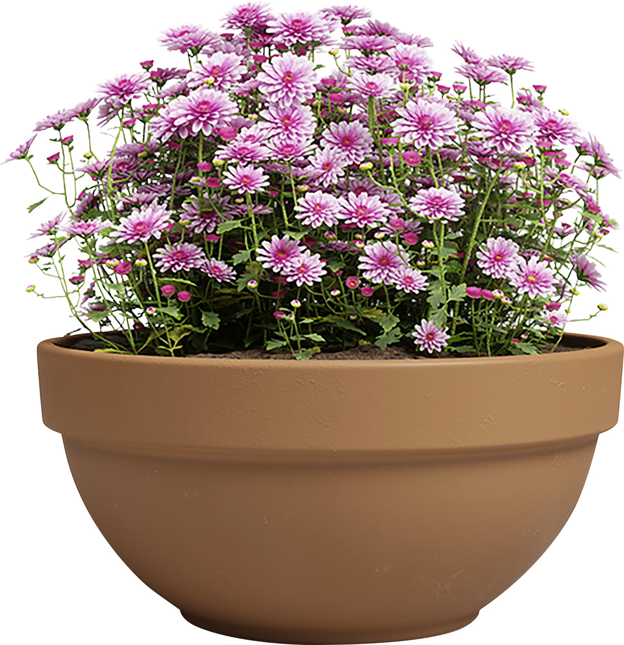 Artevasi Pflanzschale Amália Campana Terrakotta tonrot Ø 30 x 15 cm