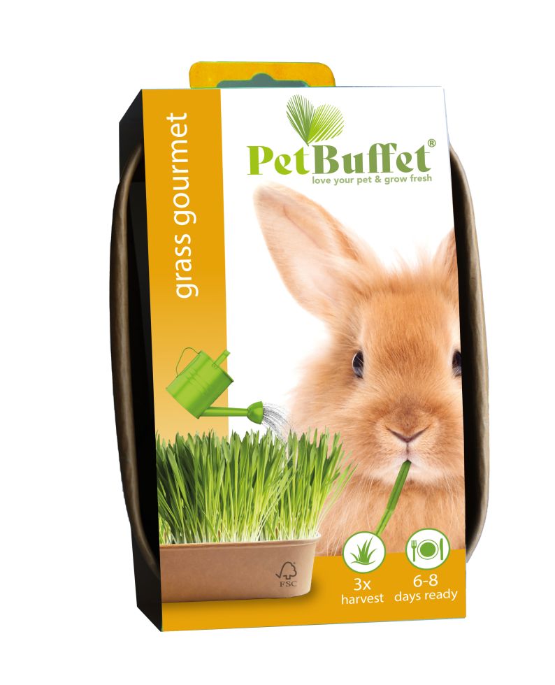 Baza Seeds Pet Buffet Gourmet Gras für Kaninchen
