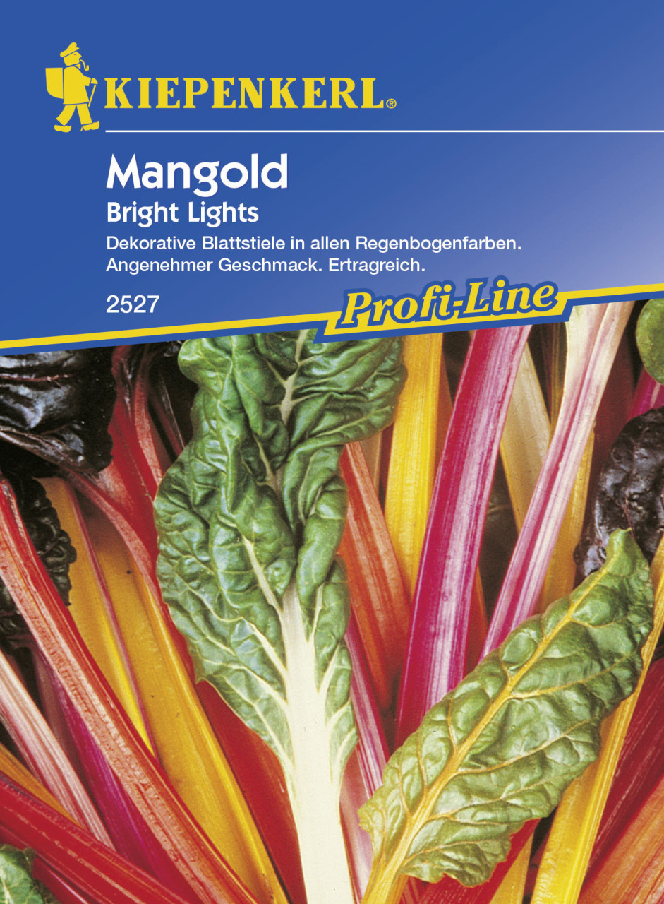 Kiepenkerl Mangold Bright Lights Beta vulgaris var. vulgaris, Inhalt: ca. 50 Pflanzen