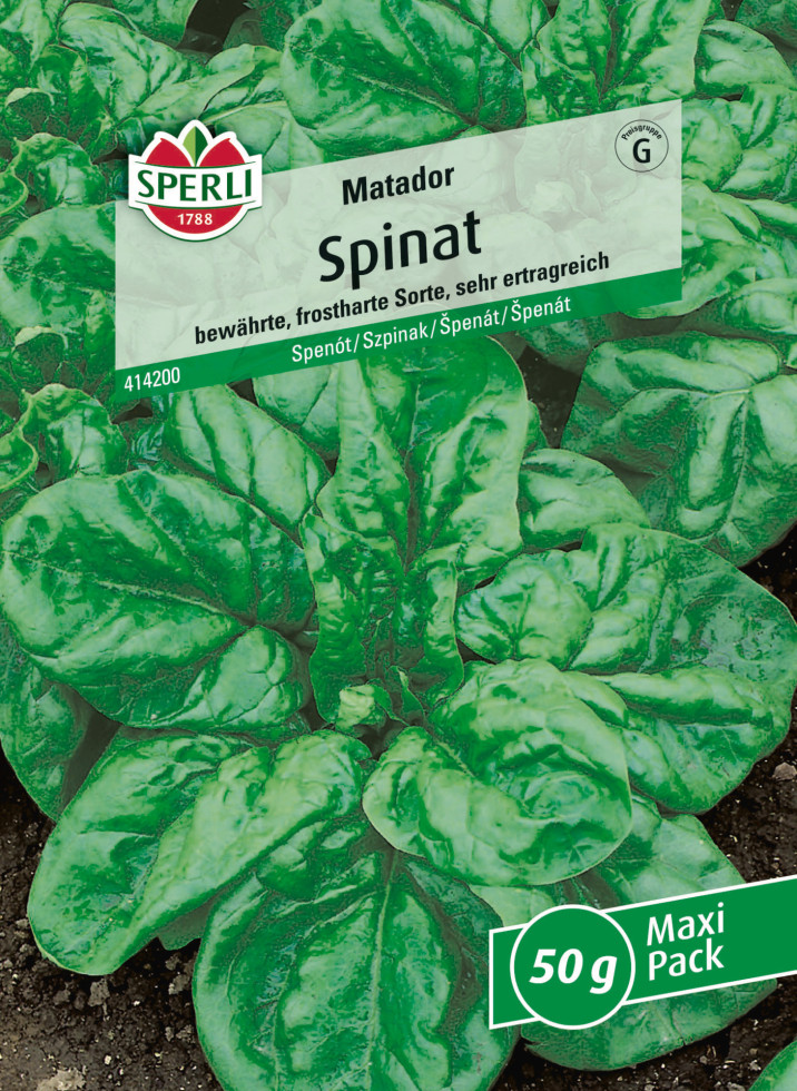 Sperli Saatgut Spinat Matador MaxiPack für bis zu 35-40 lfd. Meter