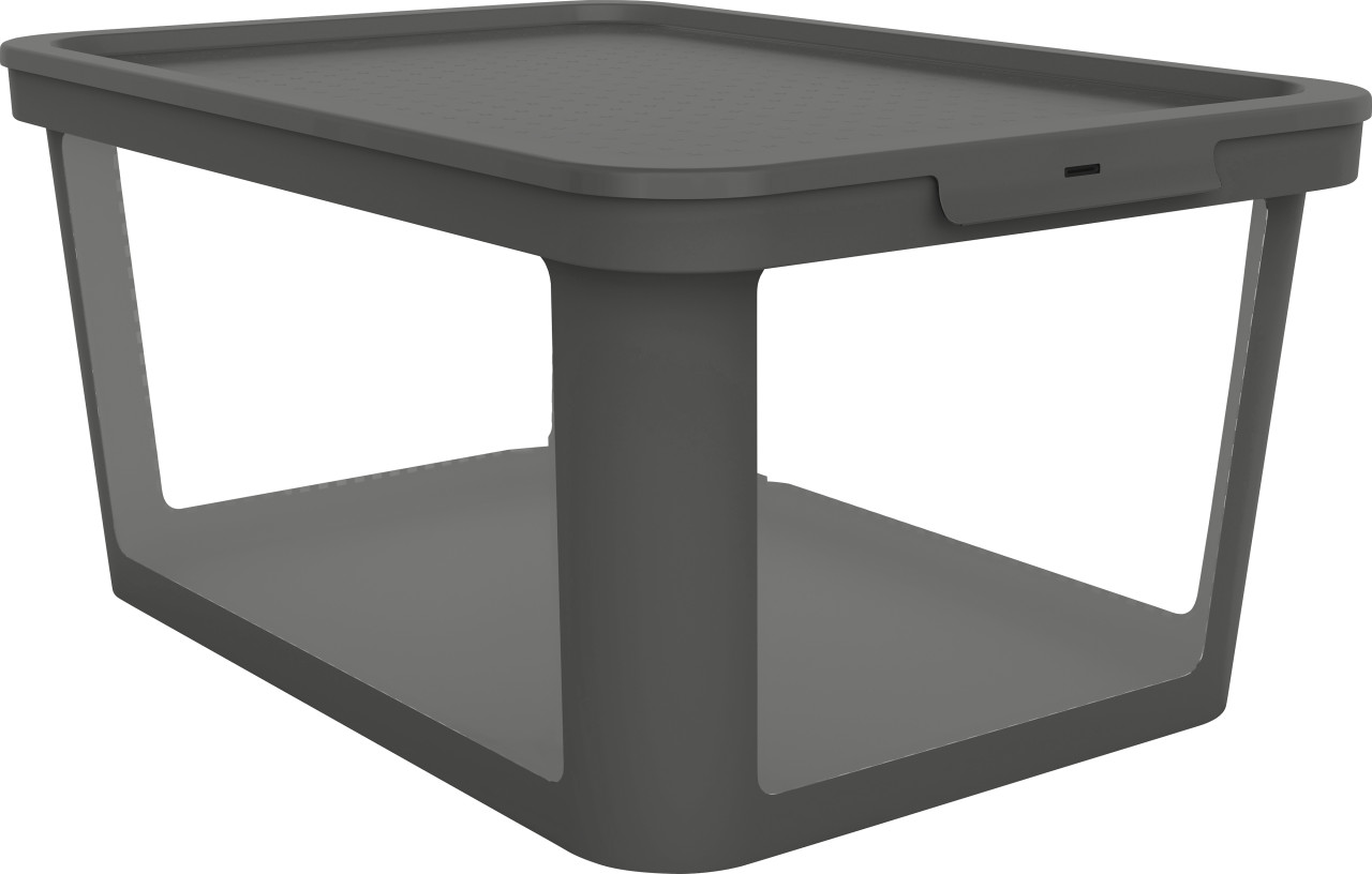 Rotho Aufbewahrungsbox mit Deckel Albris 57 x 39 x 27 cm schwarz