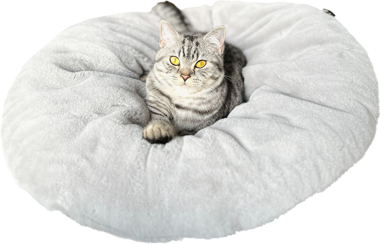 Lebon Katzenbett Bella Plüsch grau