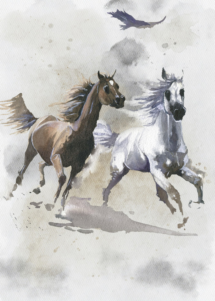 Komar Vlies Fototapete Wild Ride 200 x 280 cm