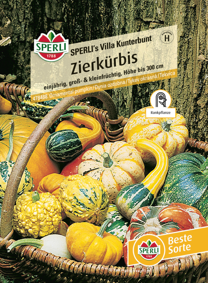 Sperli Zierkürbis Villa Kunterbunt für ca. 15 Pflanzen