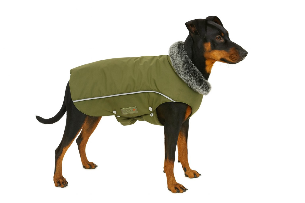 Wolters Hundebekleidung Winterjacke Amundsen olive