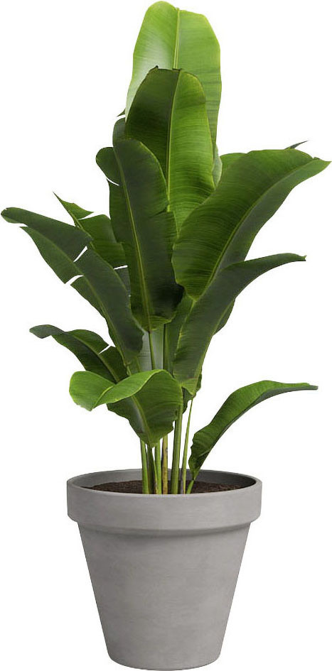 Artevasi Pflanztopf Amália Terrakotta grau Ø 13 x 11 cm