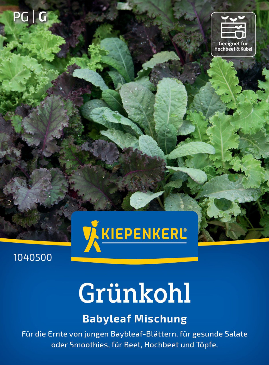 Kiepenkerl Saatgut Grünkohlsamen Babyleaf Mischung für ca. 350 Pflanzen