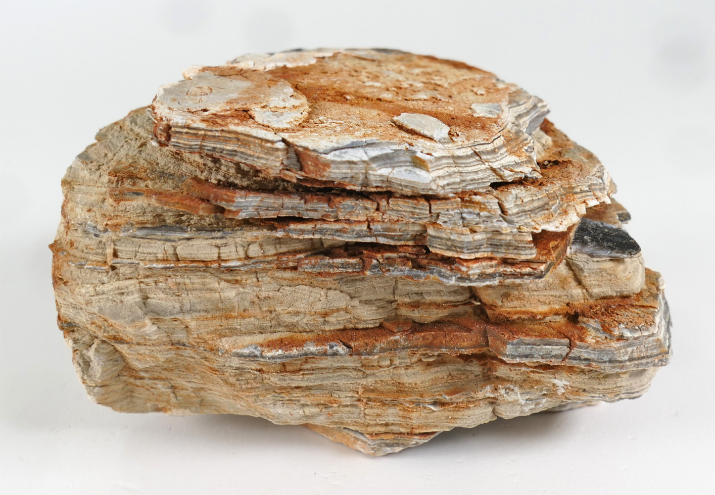 Orbit Aquarien-Deko Colorado Rock Naturstein