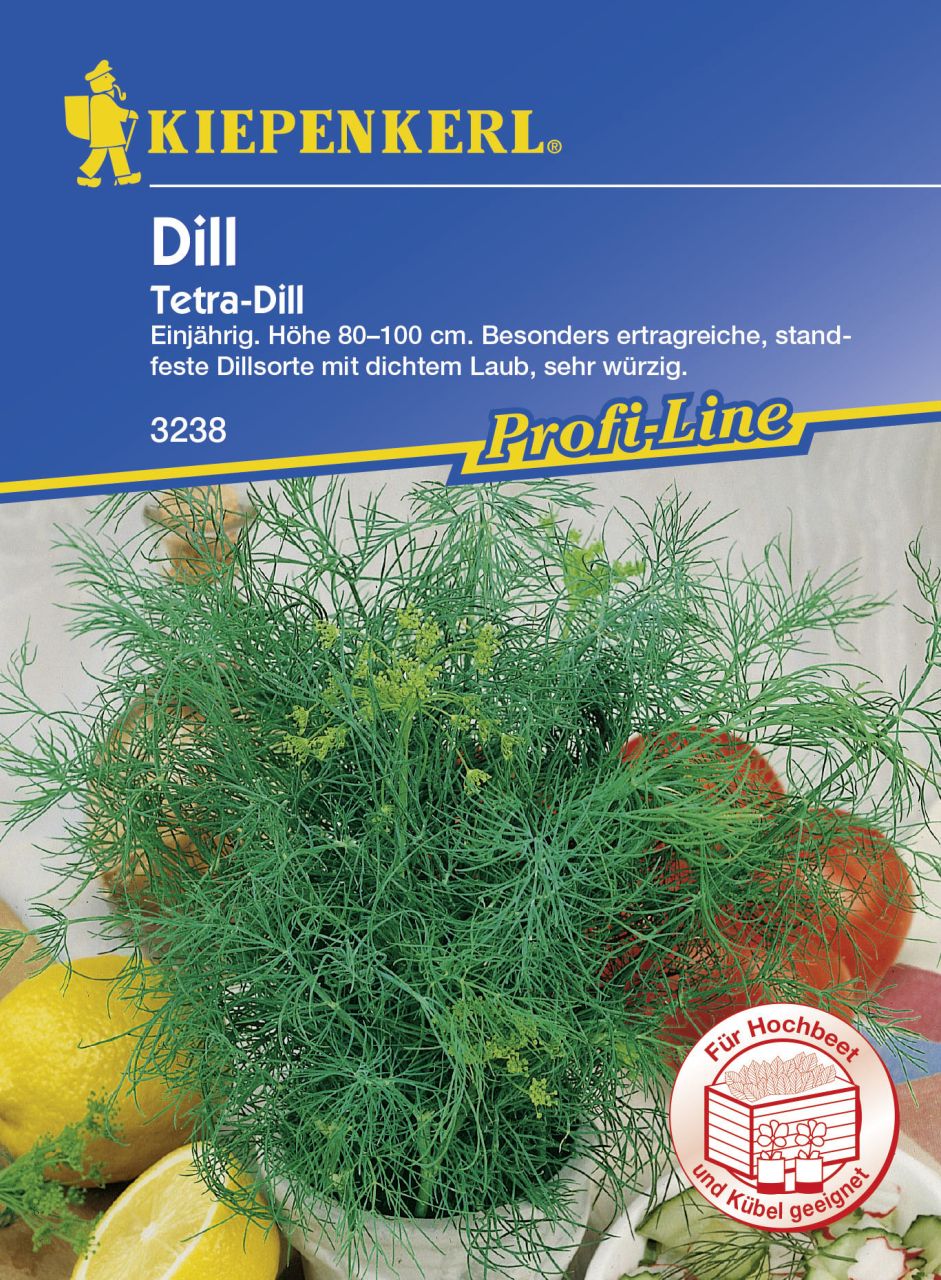 Kiepenkerl Dill Tetra Anethum graveolens var. hortorum, Inhalt: ca. 200 Pflanzen