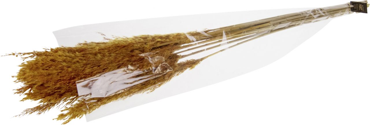 Dijk Schilffahne lang Kyan Herbst 110 cm