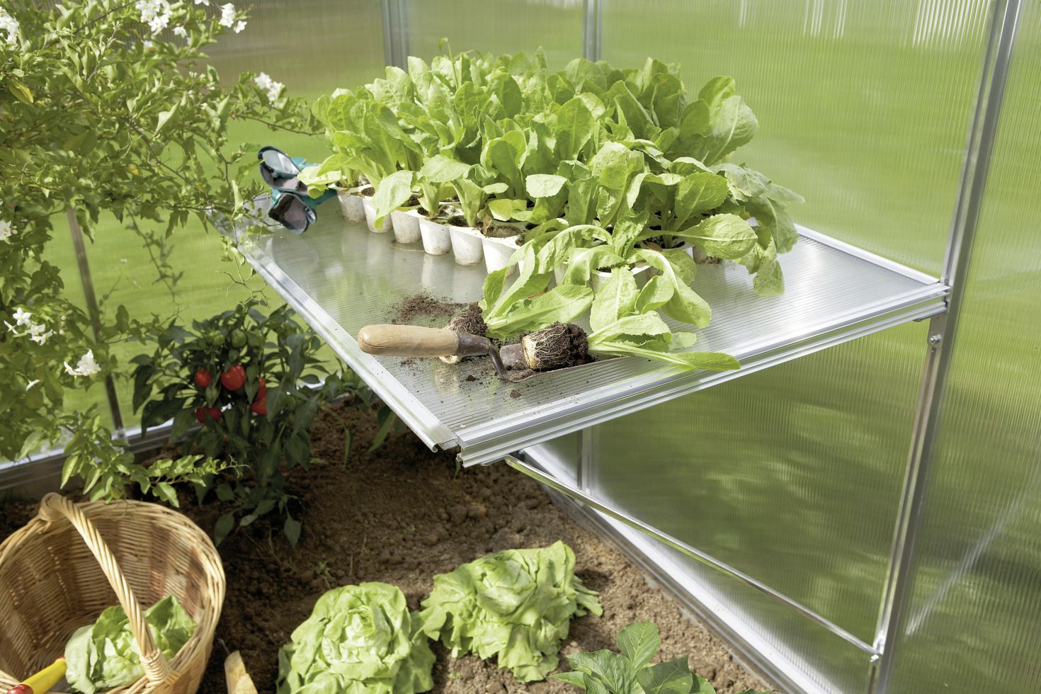 Gutta Ausziehtisch passend für Gutta Gewächshaus Typ 2 bis Typ 6, 77 x 3 x 68 cm