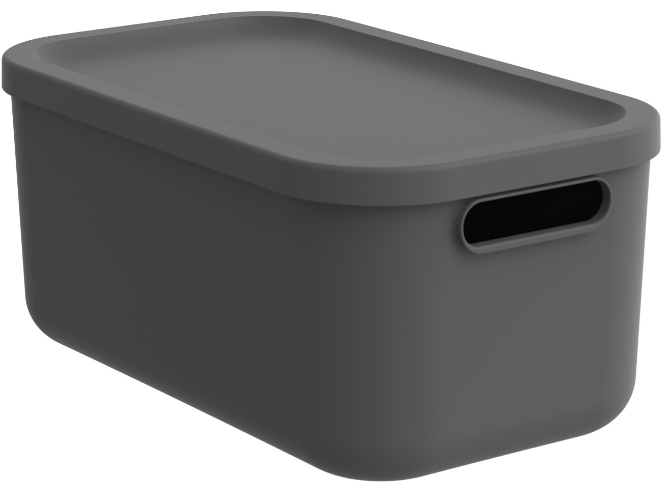 Rotho Aufbewahrungsbox 12 L Albula anthrazit inkl. Deckel