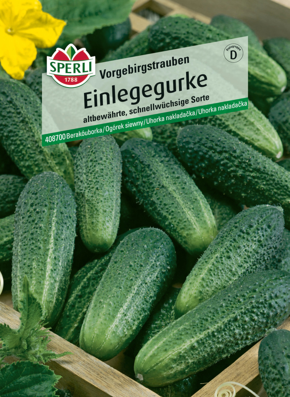 Sperli Saatgut Einlegegurken für ca. 50 Pflanzen